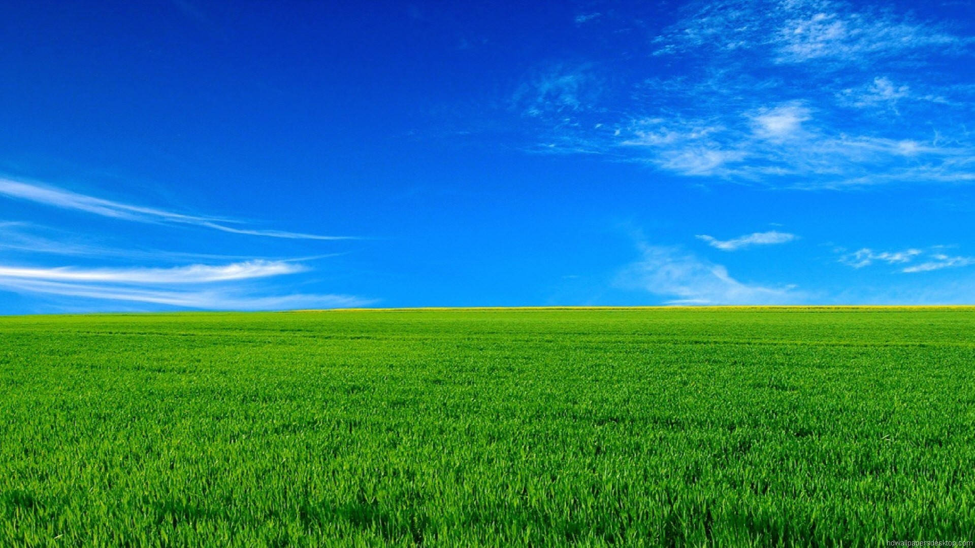 1920x1080 فل ایچ ڈی نیچر سبز گھاس نیلا آسمان وال پیپر