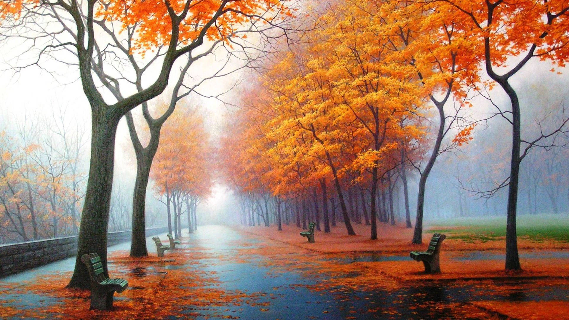 1920x1080 فل ایچ ڈی نیچر اورنج لیوز ٹریز وال پیپر