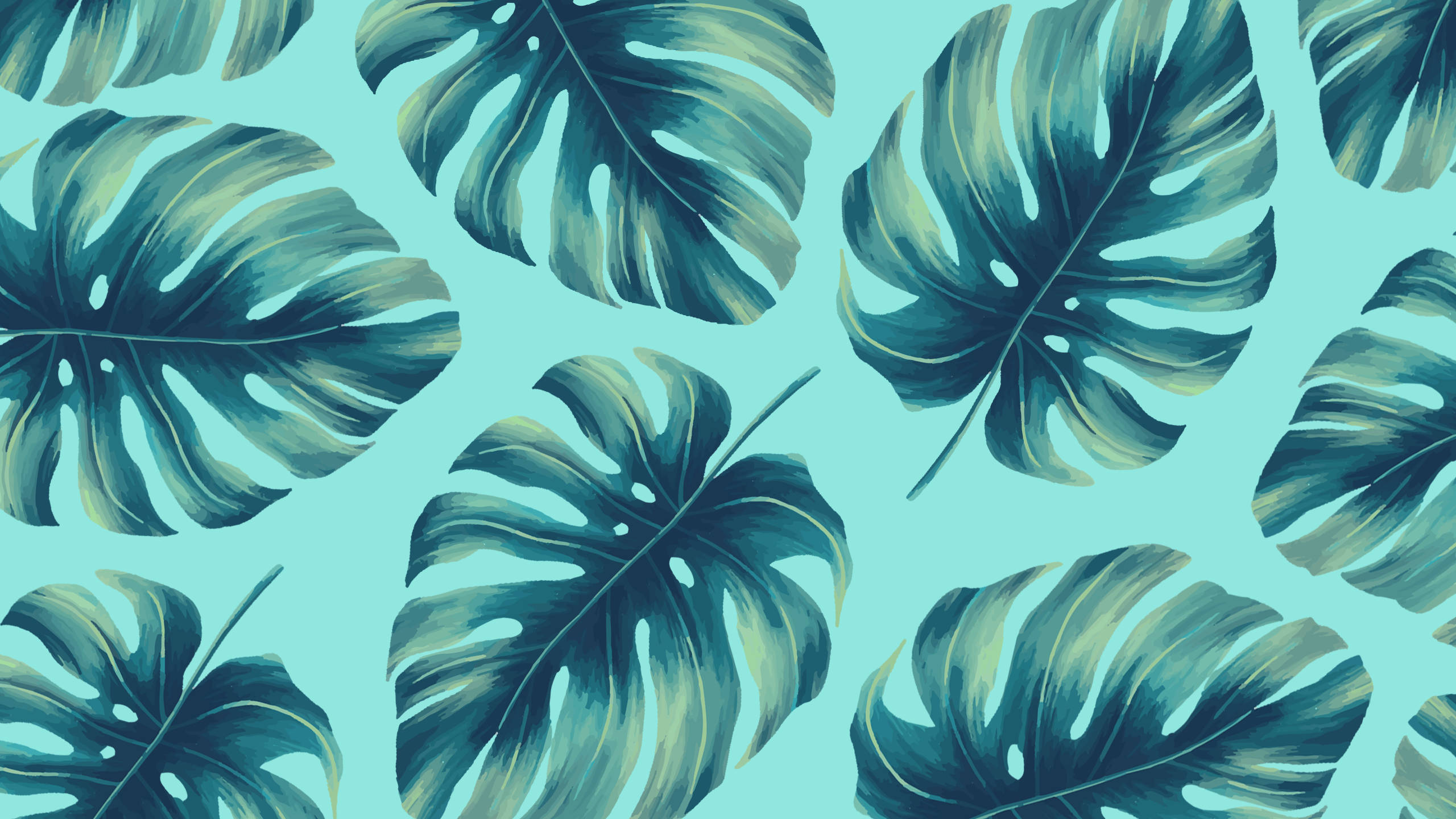 2560x1440 گرمیوں کے پودوں کے پتے سبز وال پیپر