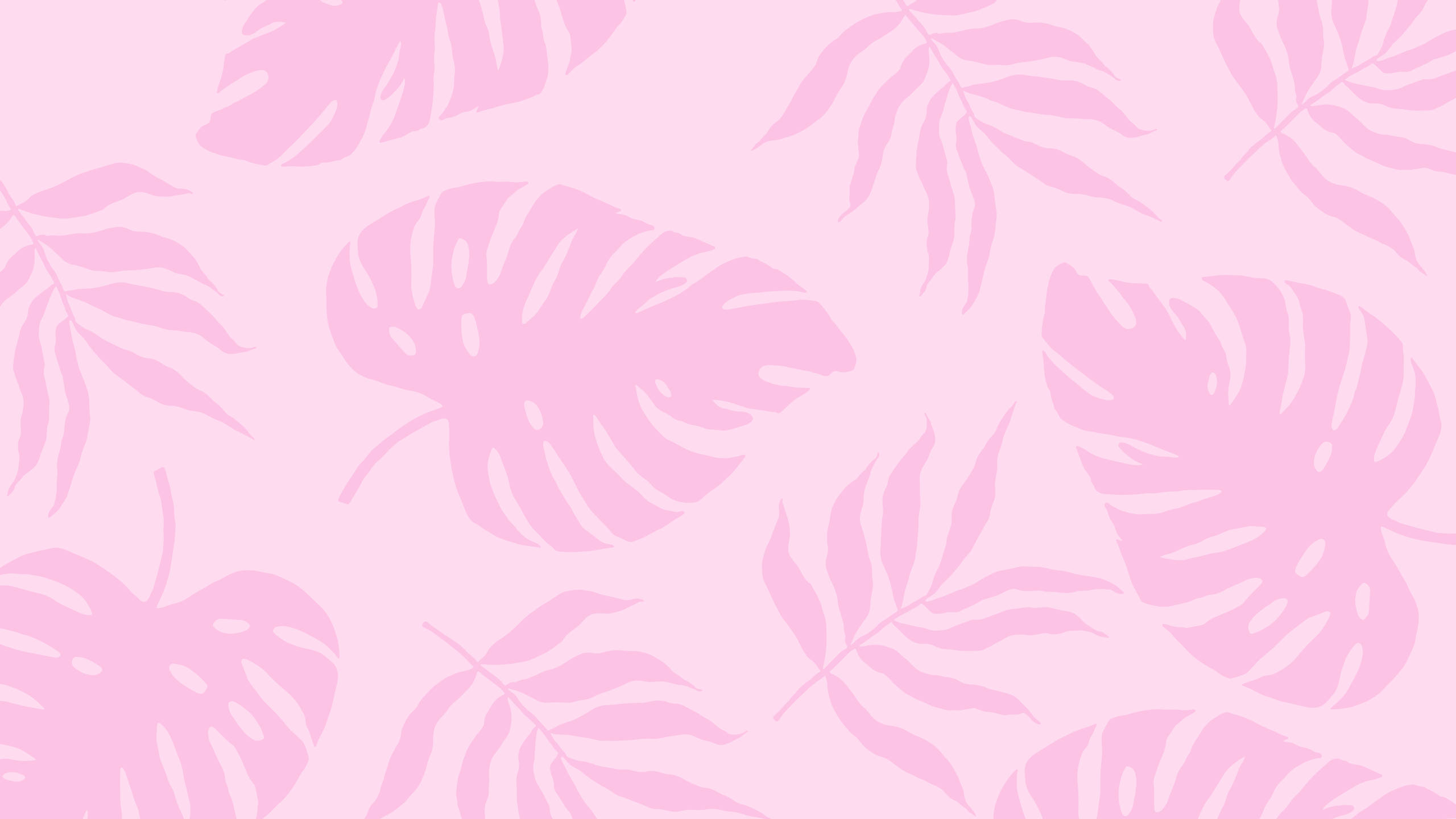 2560x1440 گرمیوں کے پودے گلابی جمالیات وال پیپر