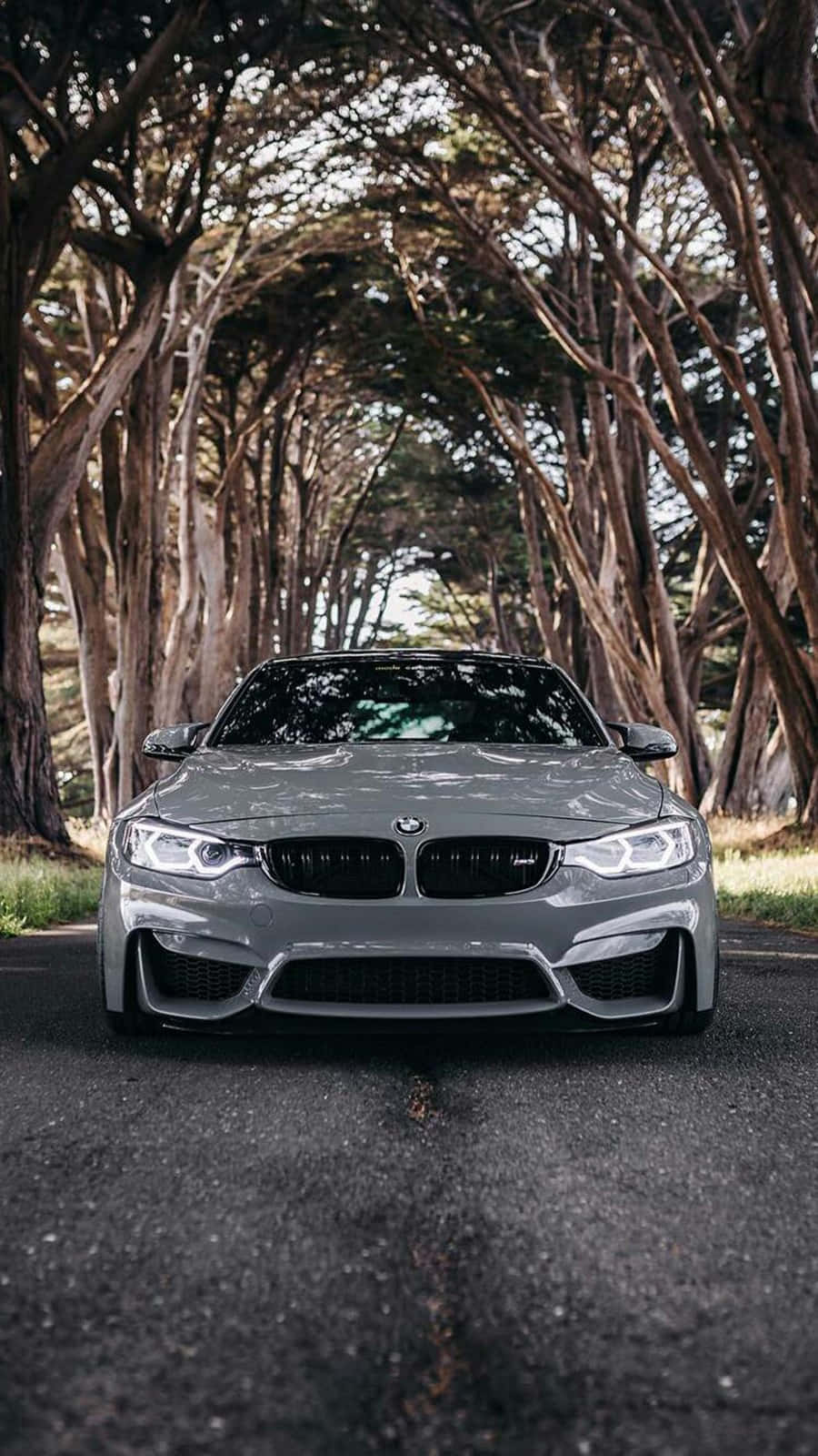 پکسل 3 BMW M4 سلورسٹون میٹالک II میں پس منظر وال پیپر