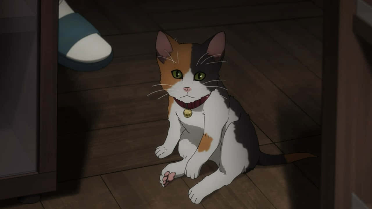 مسکراہٹ کے لیے تیار ہو جائیں اس پیارے Anime Cat کے ساتھ وال پیپر