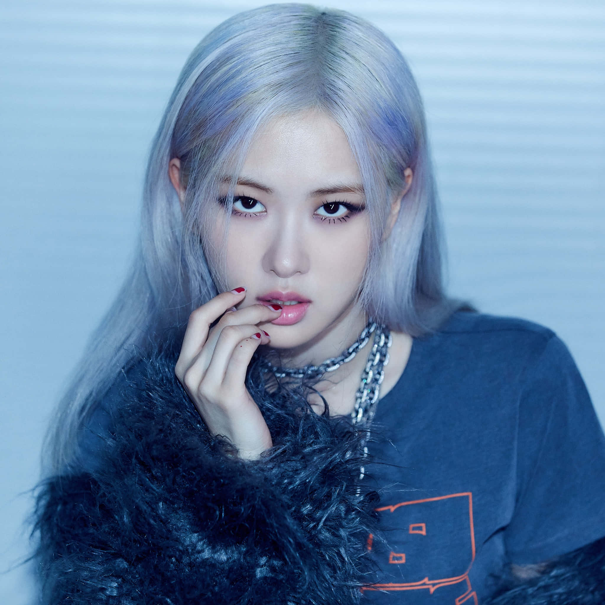 BLACKPINK روز کے ساتھ پروفائل پکچر کے آئیڈیاز وال پیپر