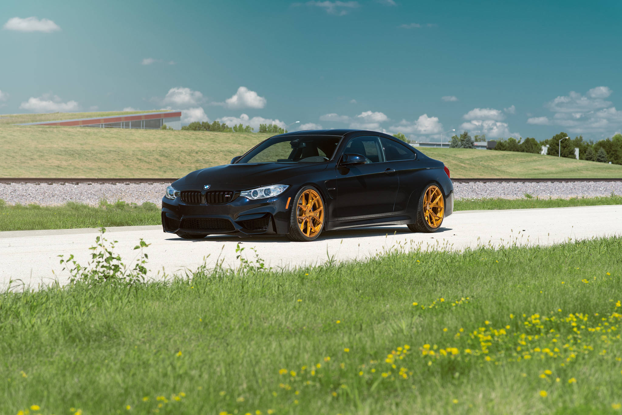 چست BMW M4 F82 وال پیپر