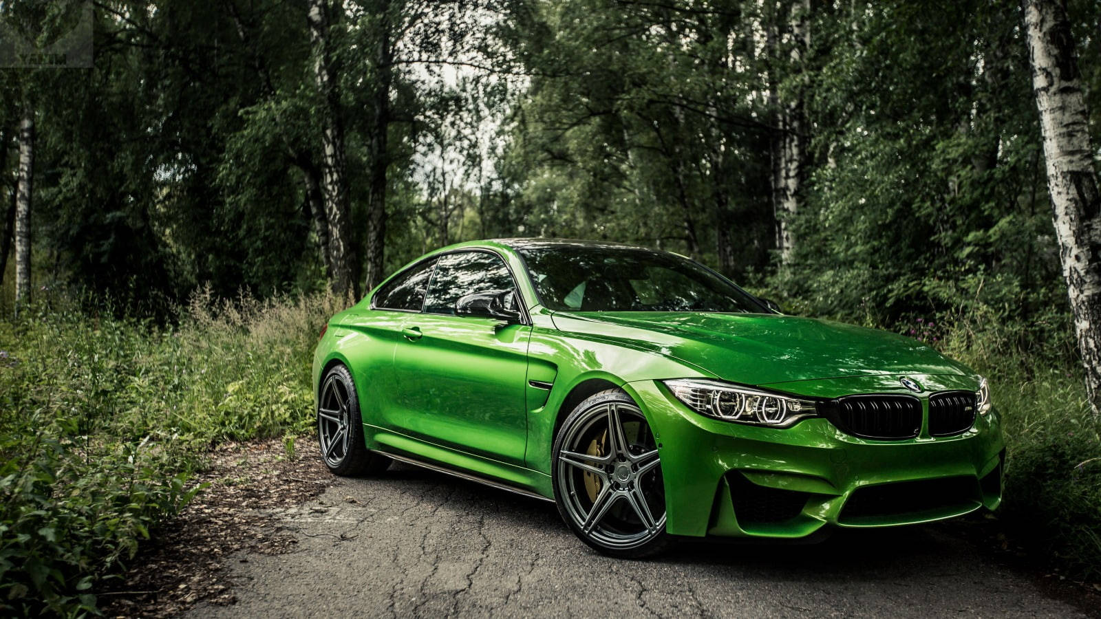 کیپشن: شاندار سبز BMW M4 جنگل میں گرجتا ہوا وال پیپر
