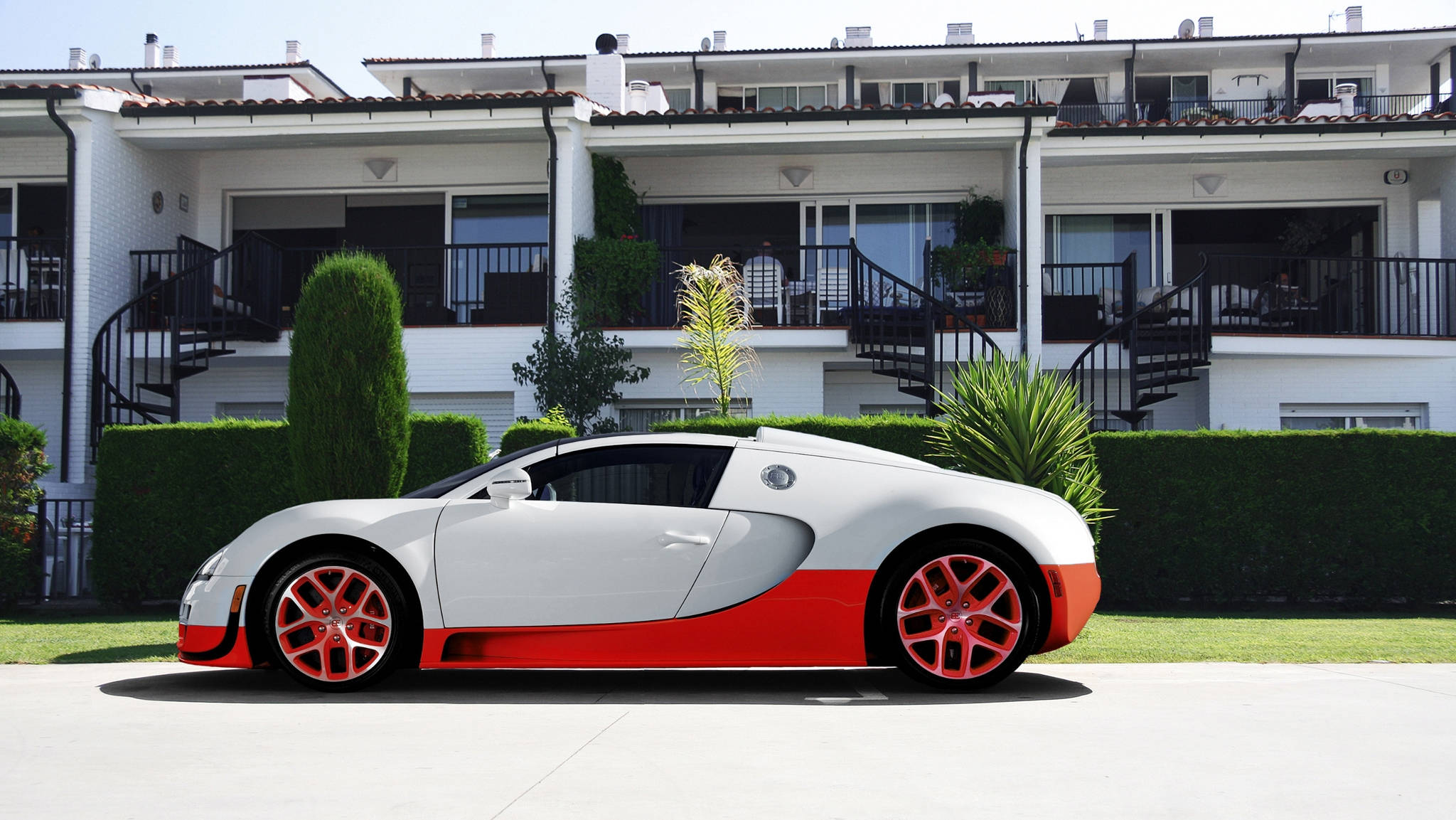 سفید نارنجی Bugatti Veyron وال پیپر