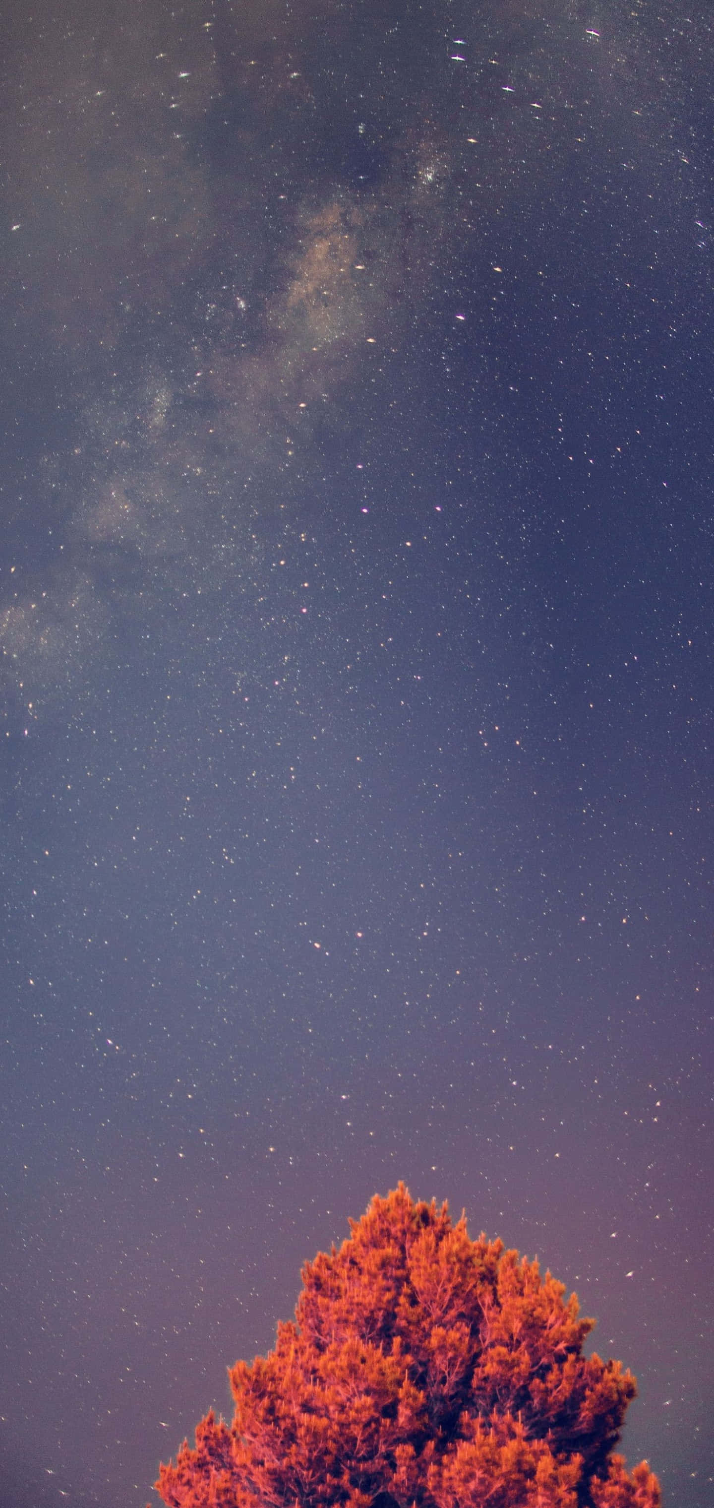 Galaxy S10 Plus وال پیپر