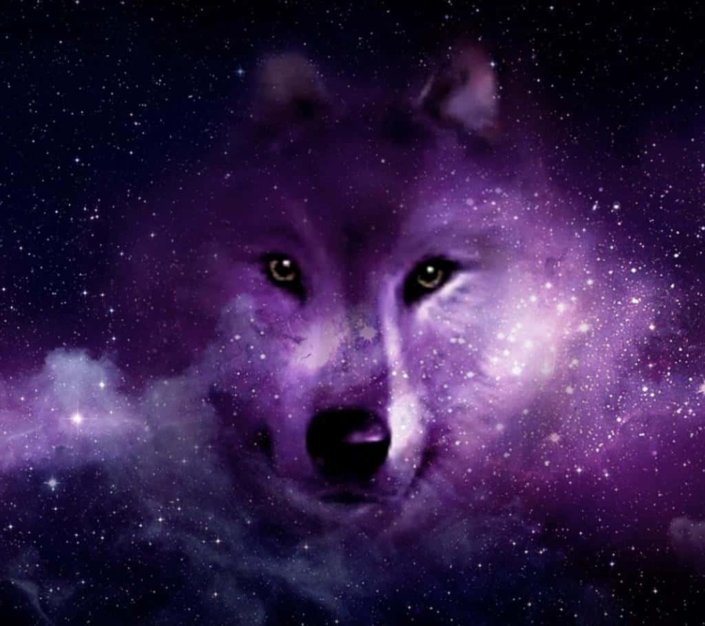 Galaxy Wolves آئی فون اسکرین تھیم وال پیپر