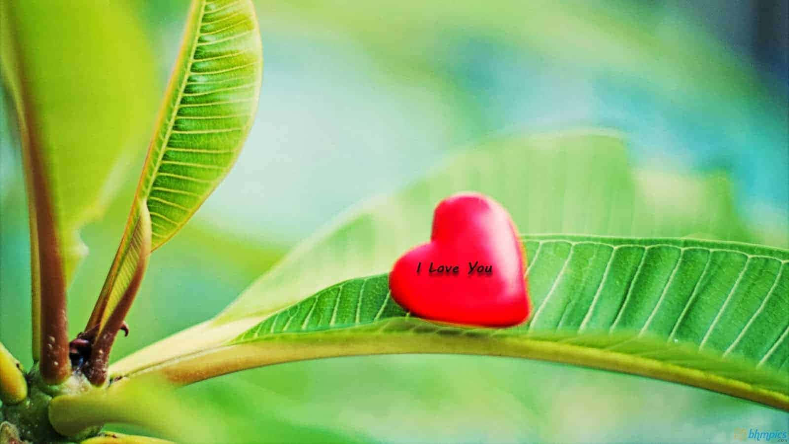 اپنی محبت کا اظہار کریں ایک رومانوی I Love You پس منظر کے ساتھ۔ وال پیپر