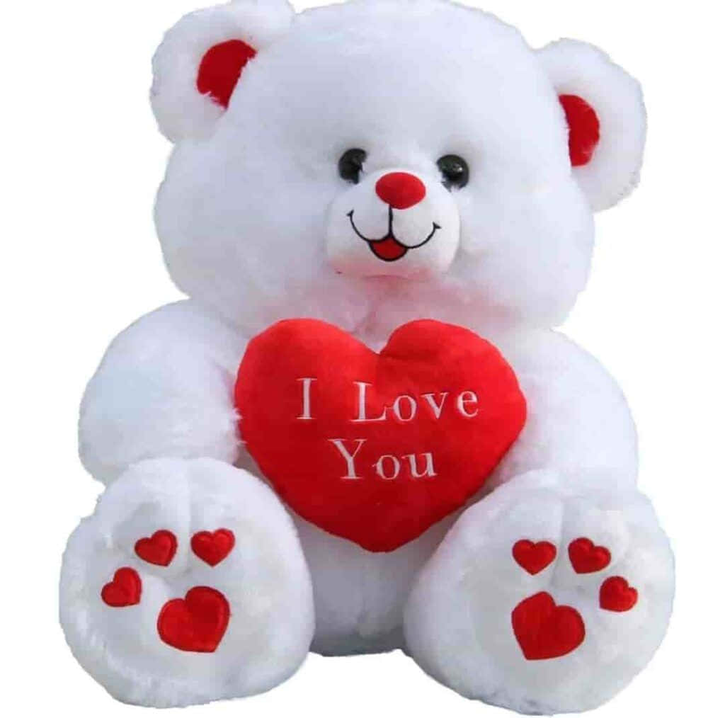 سفید ریچھ "I LOVE YOU" تصویر وال پیپر