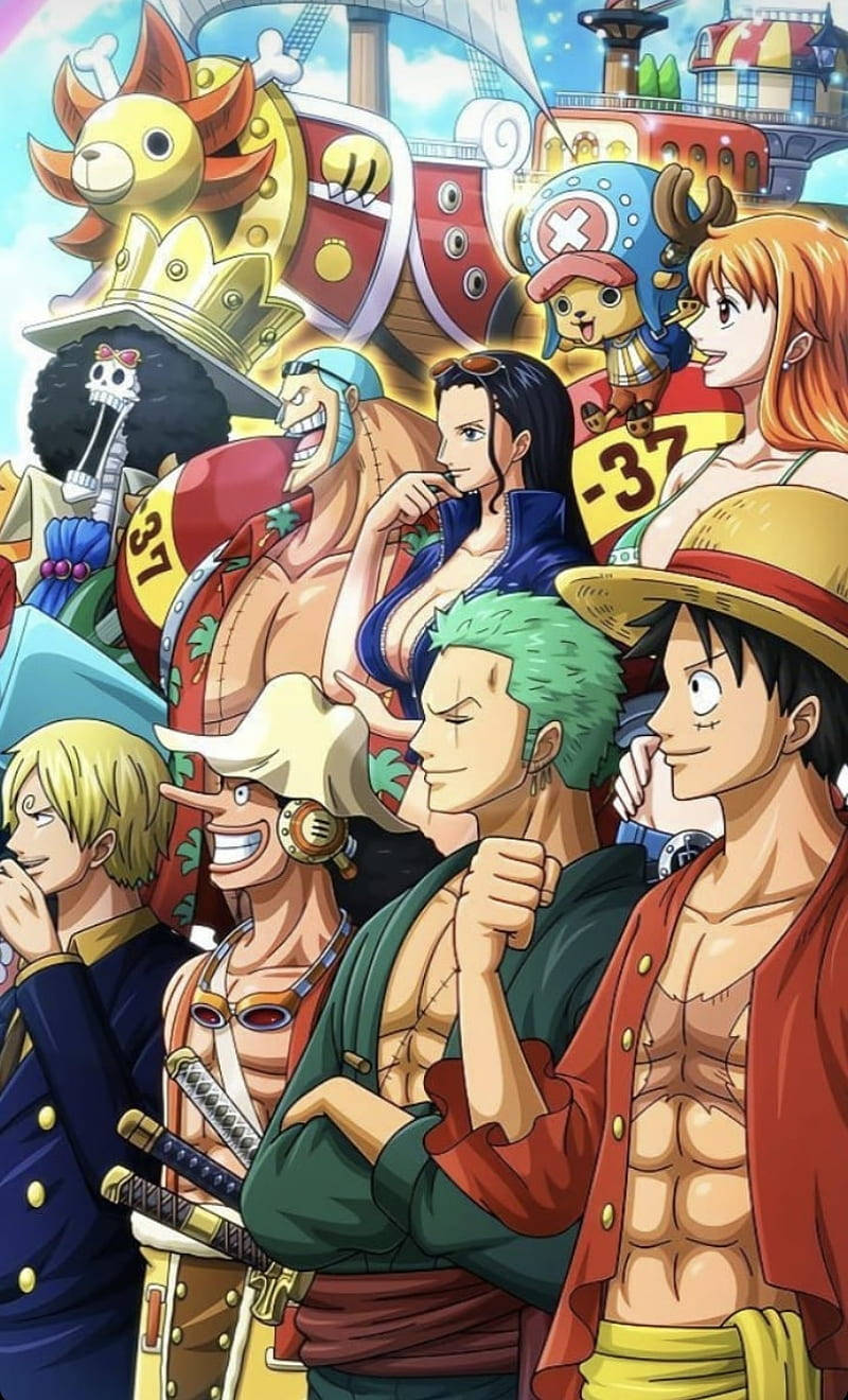 Luffy Zoro تمام کاسٹ One Piece موبائل وال پیپر