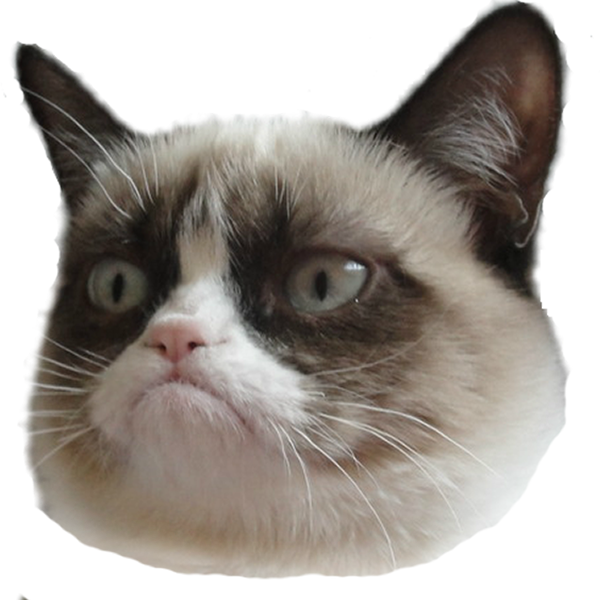 ناراض بلی کا سر شفاف پس منظر.PNG وال پیپر