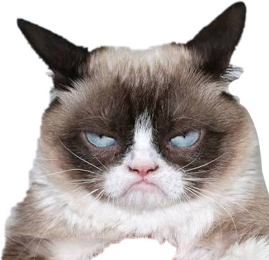 ناراض بلی کا اظہار.PNG وال پیپر