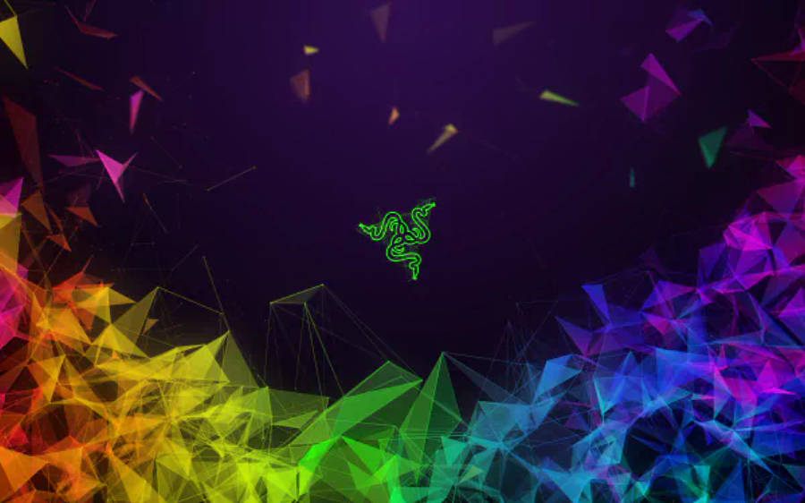 Razer نیون پیٹرنز 4K وال پیپر