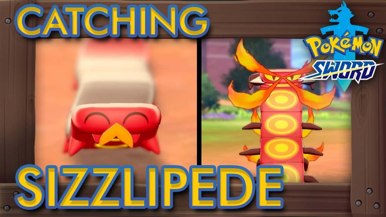 Sizzlipede پکڑنا وال پیپر