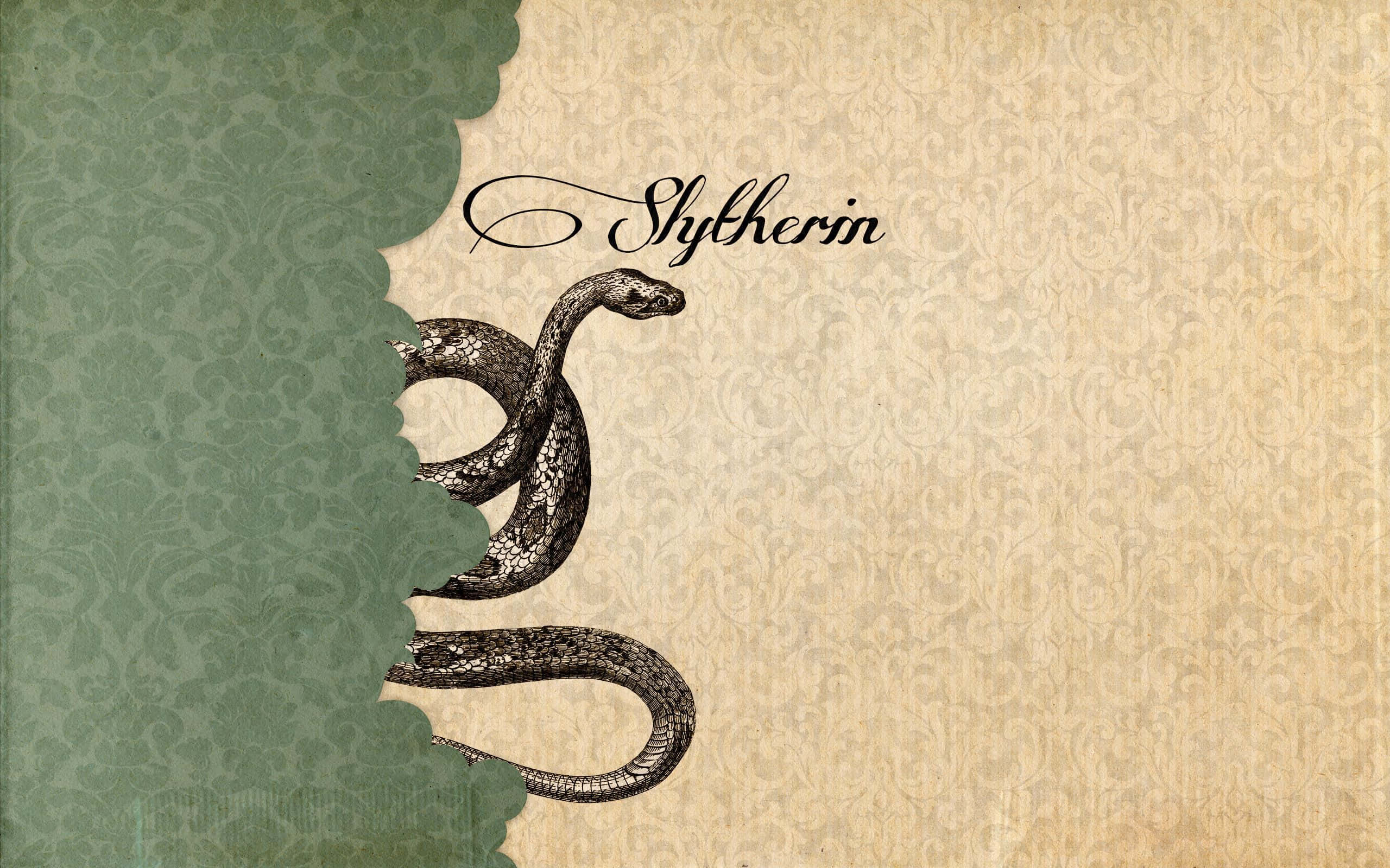 Slytherin Aesthetic 🐍 کے پراسرار دلکشی کو دریافت کریں وال پیپر