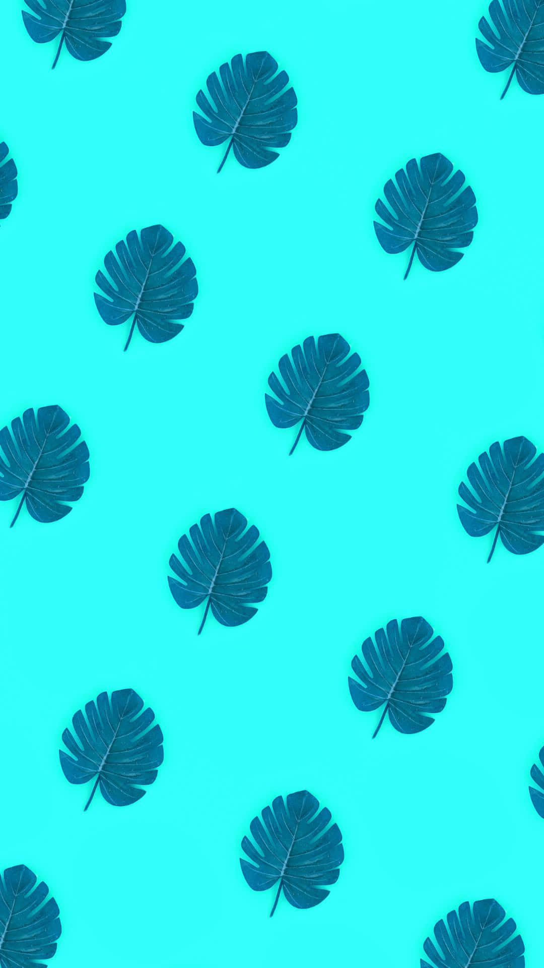 جمالیاتی VSCO مونسٹیرا پتوں کا نمونہ والا پس منظر وال پیپر