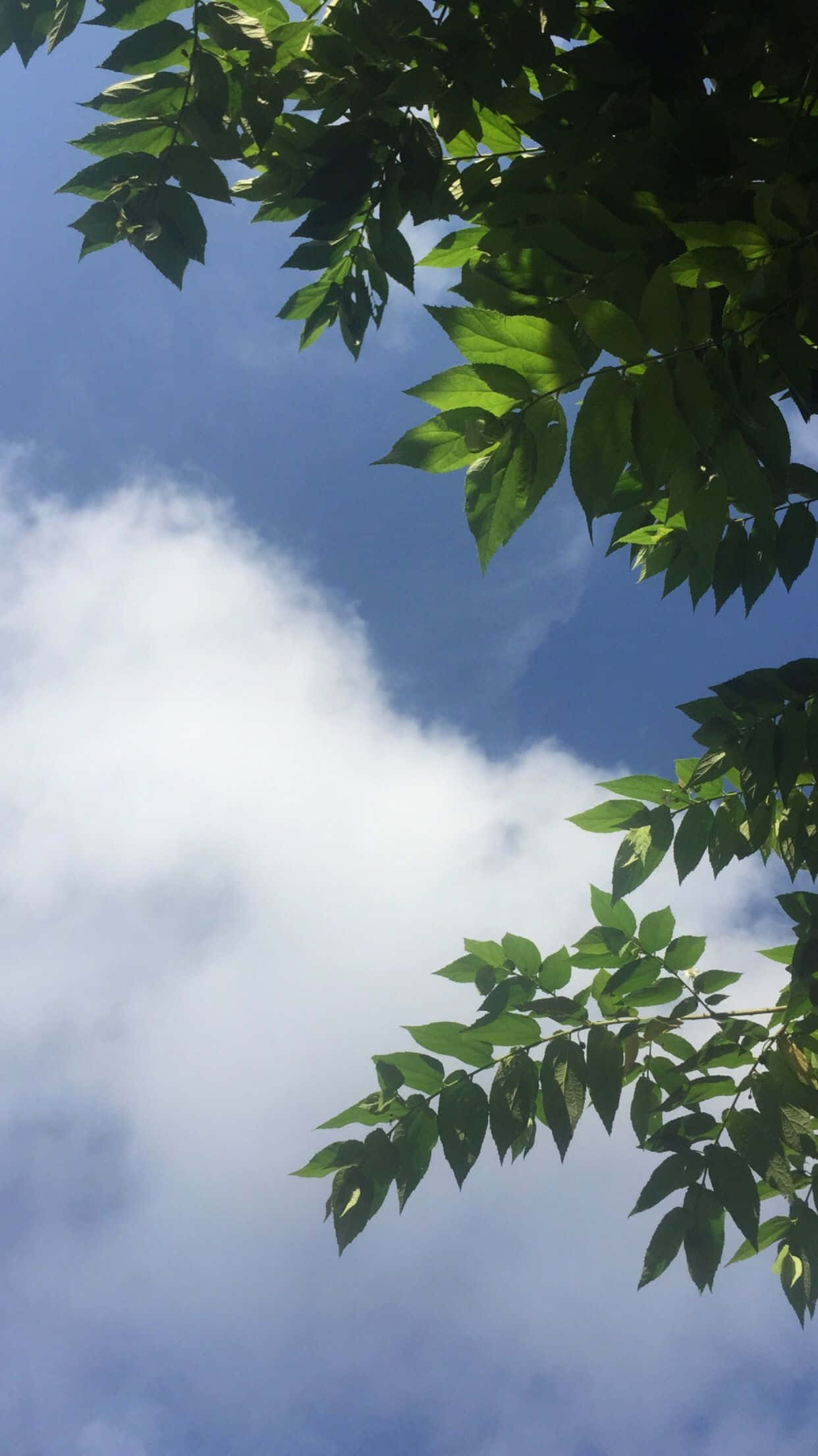 آسمان کی جمالیاتی خوبصورتی وال پیپر