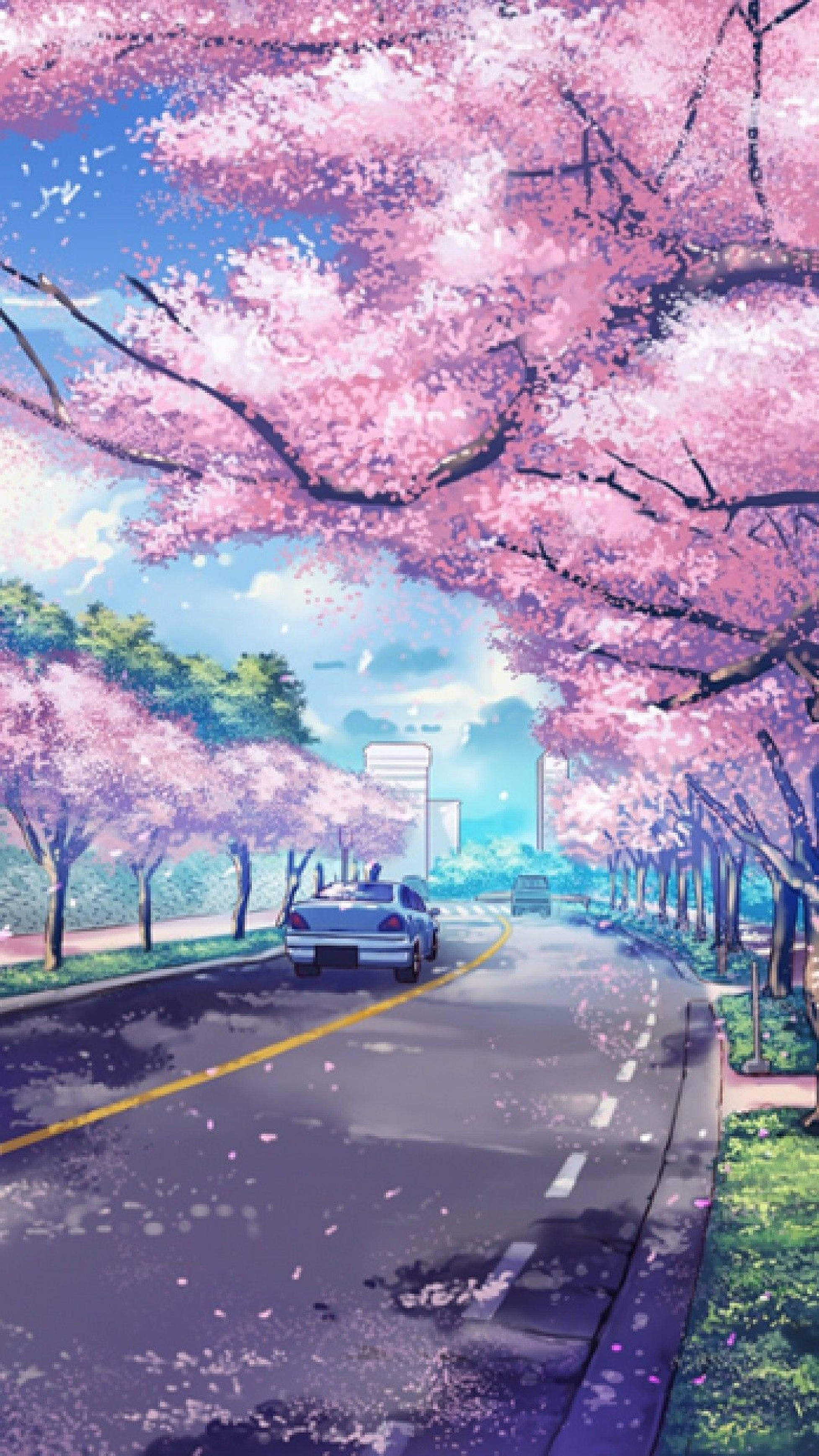 اینیمے چیری بلاسمز آئی فون وال پیپر