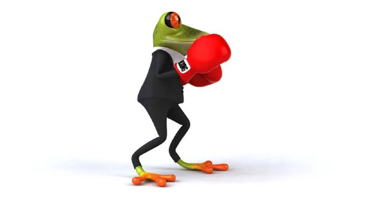 باکسنگ دستانے والا پیارا مینڈک وال پیپر