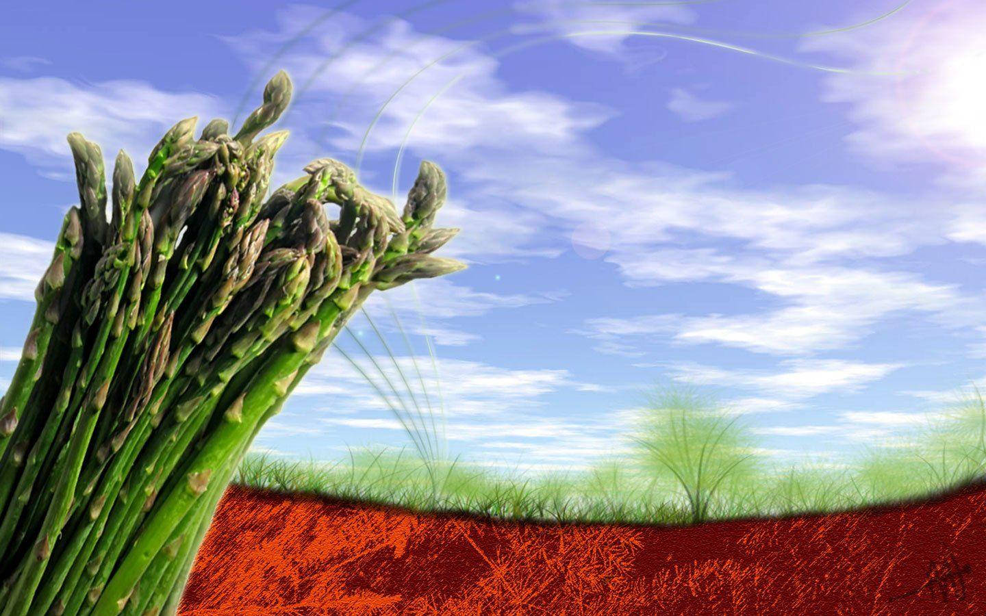 تازہ اور صحت بخش سبزی asparagus وال پیپر