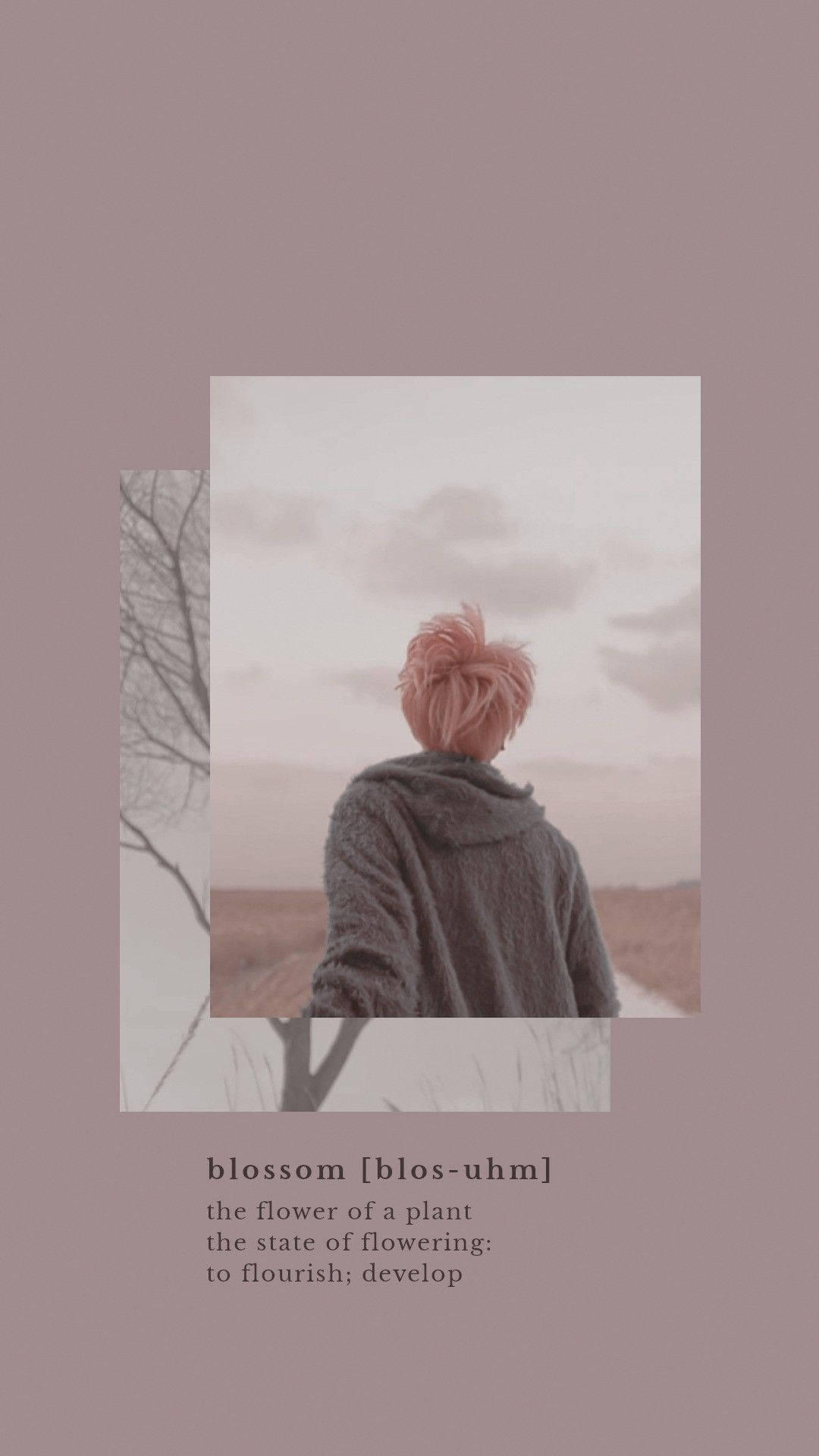 جمالیاتی Bts Jimin Blossom وال پیپر