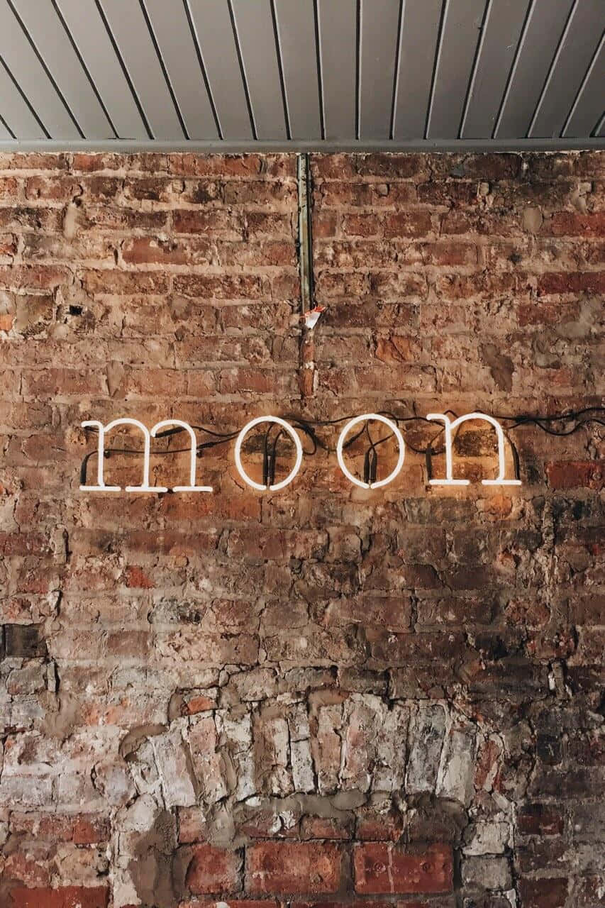 جمالیاتی براؤن – خوبصورتی کا اظہار وال پیپر