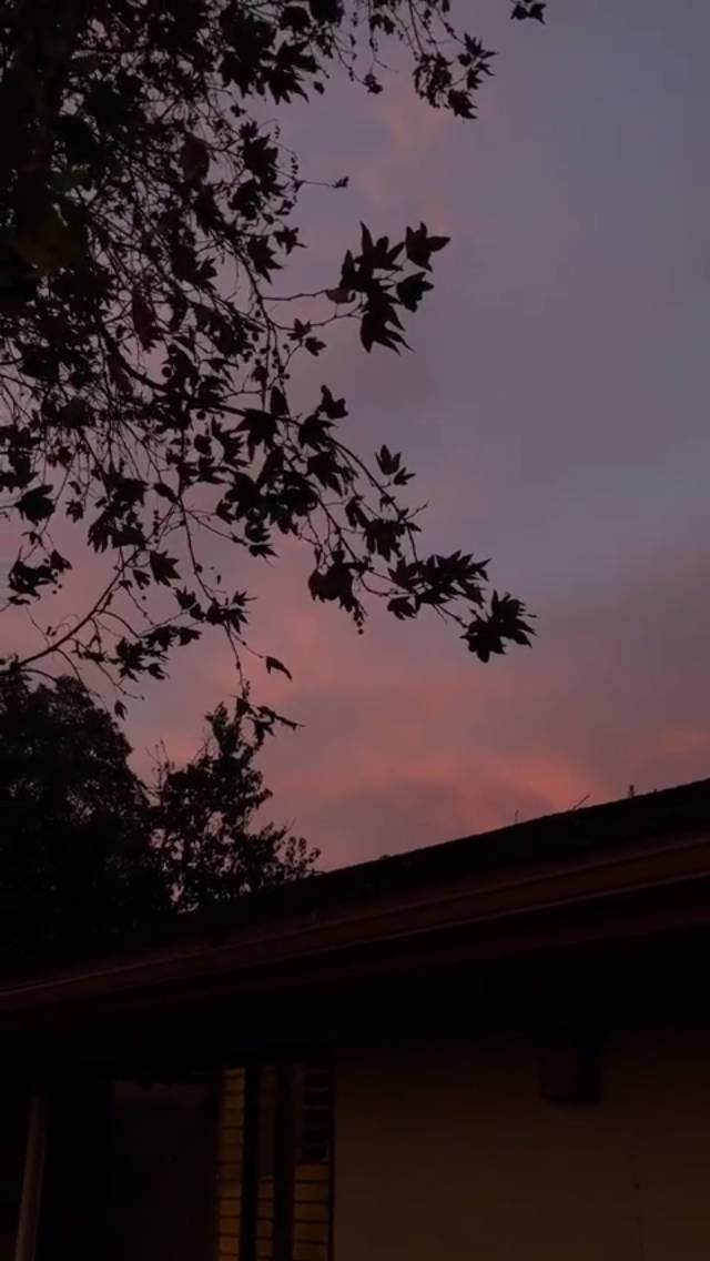 خوبصورت جمالیاتی درخت کا سایہ وال پیپر