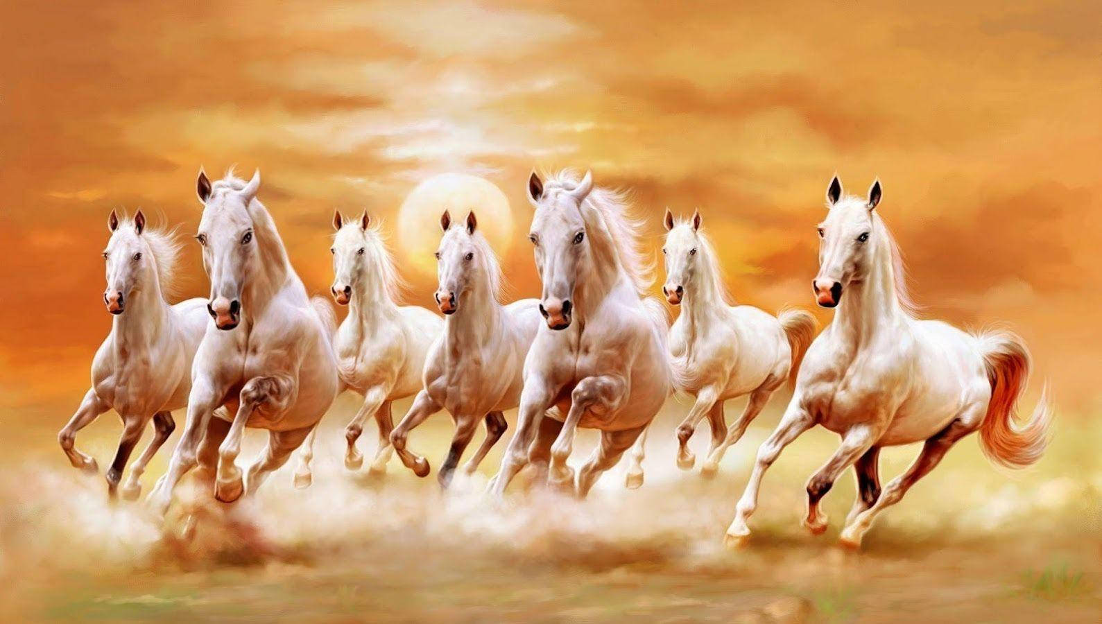 خوبصورت گھوڑے اور نارنجی رنگ کا آسمان وال پیپر