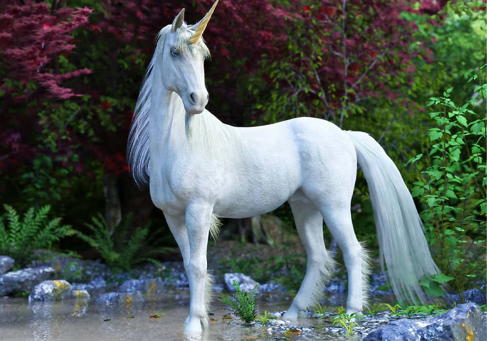 خوبصورت یونیکورن تالاب میں آرام کرتی ہوئی تصویر وال پیپر