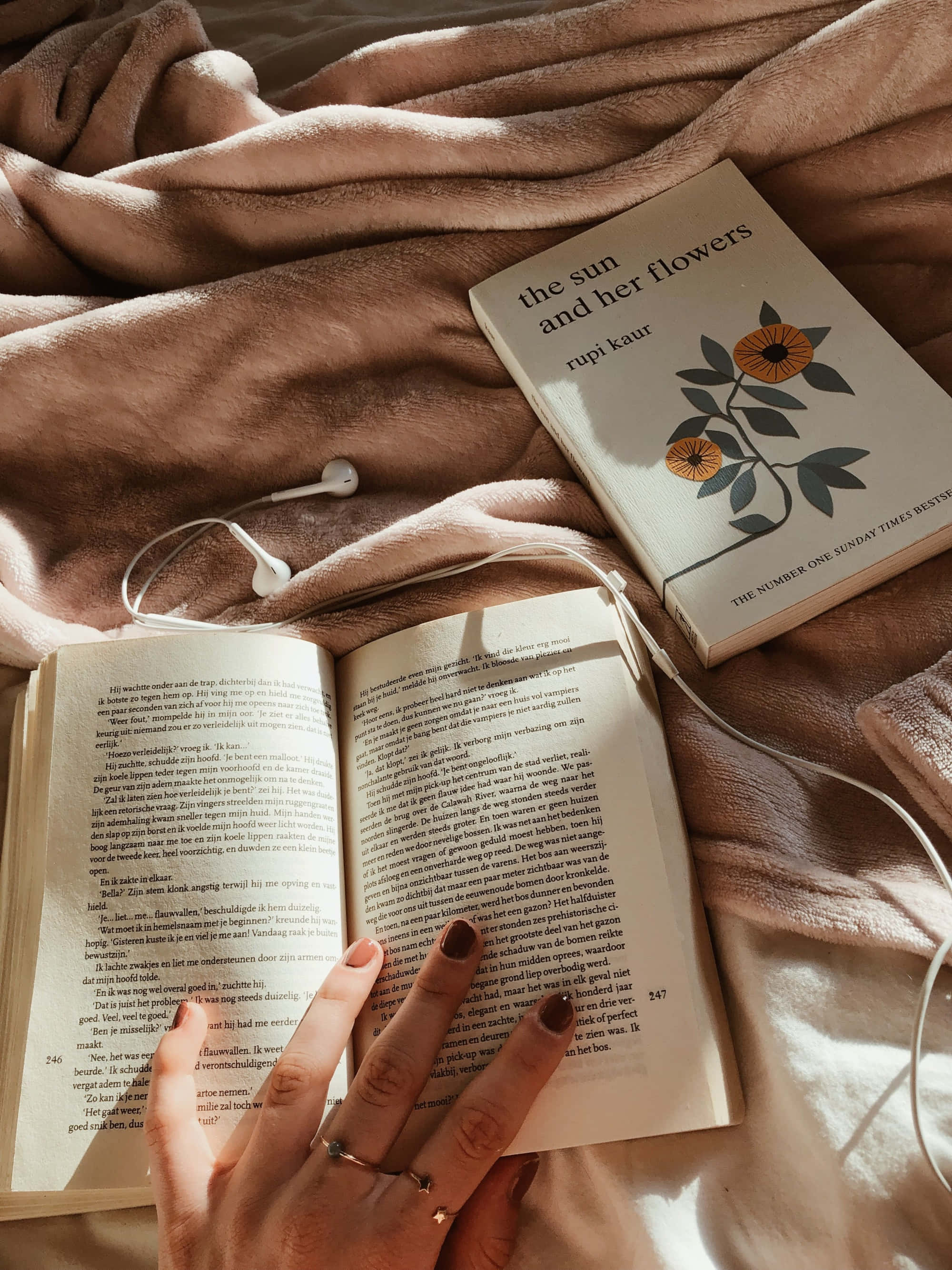 خوبصورتی سے تیار کردہ جمالیاتی آرٹ کی کتابیں وال پیپر