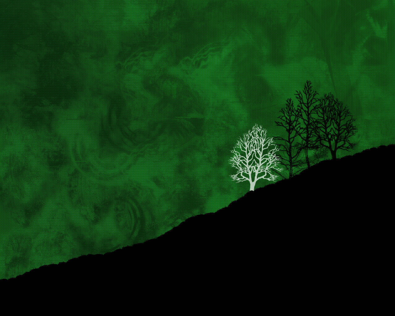 درختوں کے سائے کے ساتھ ٹھنڈا سبز آسمان وال پیپر