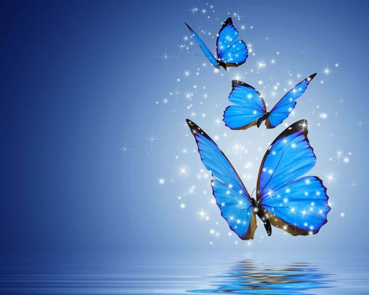 دلکش جمالیاتی تتلی والا پس منظر وال پیپر