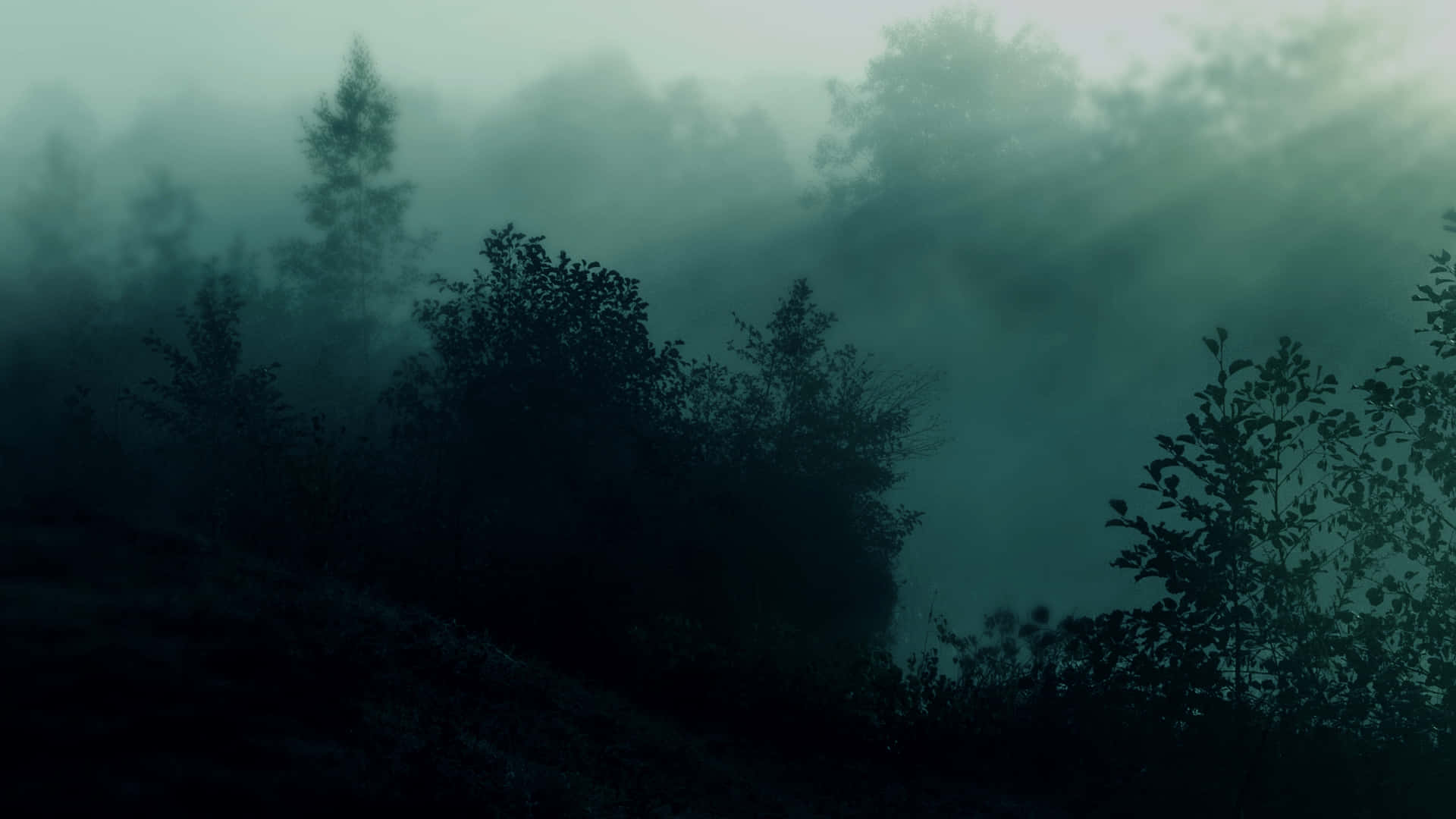 دھند والے وال پیپرز ایچ ڈی وال پیپر