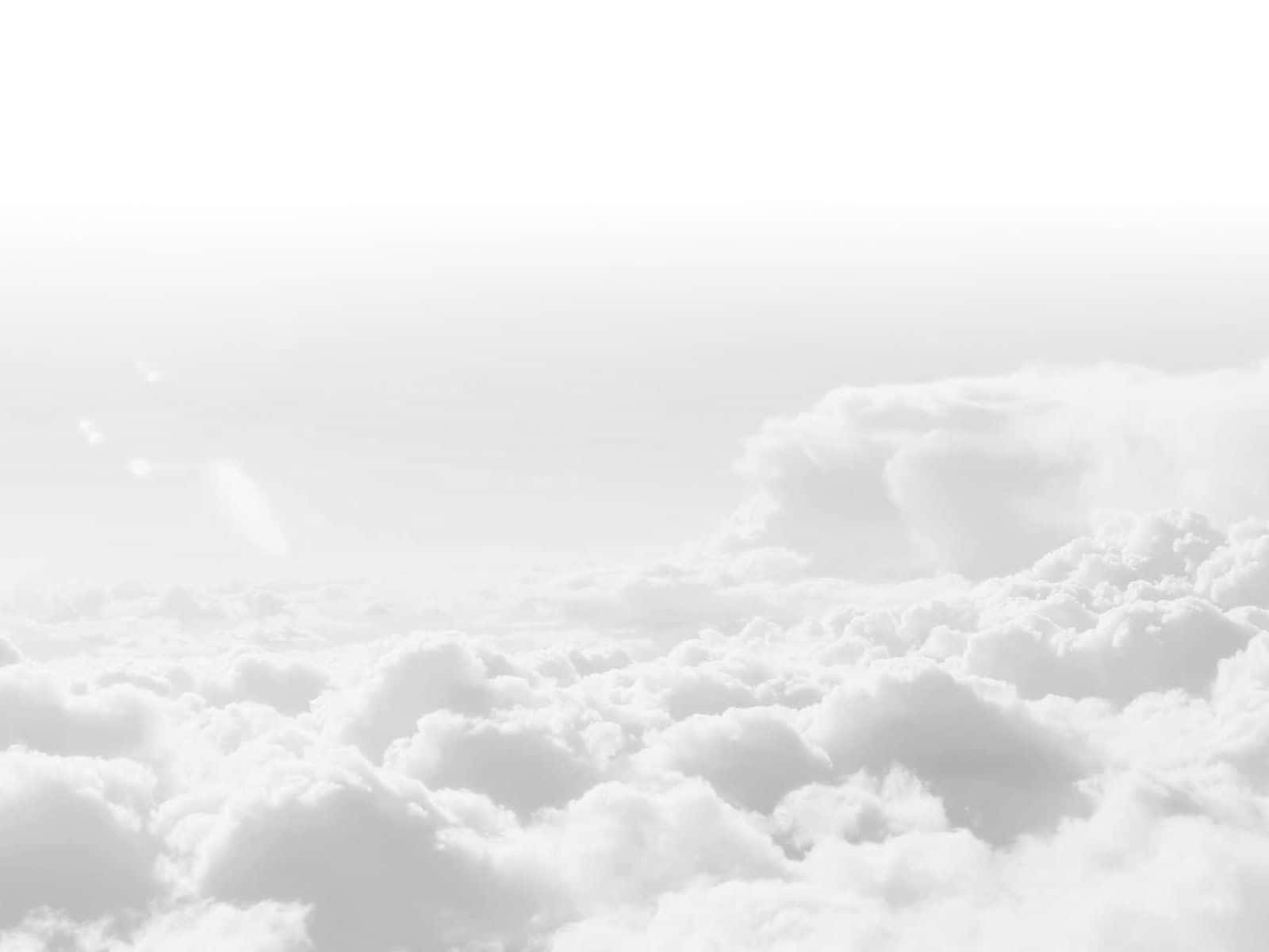 سادگی کی مثال - ایک پُرسکون سفید جمالیات۔ وال پیپر