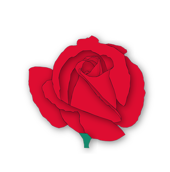 سرخ گلاب سیاہ پس منظر وال پیپر