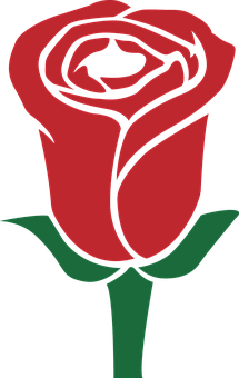 سرخ گلاب ویکٹر آرٹ وال پیپر