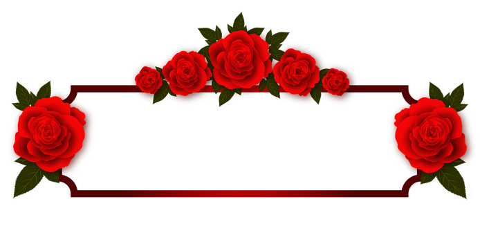سرخ گلاب کا بینر ڈیزائن وال پیپر
