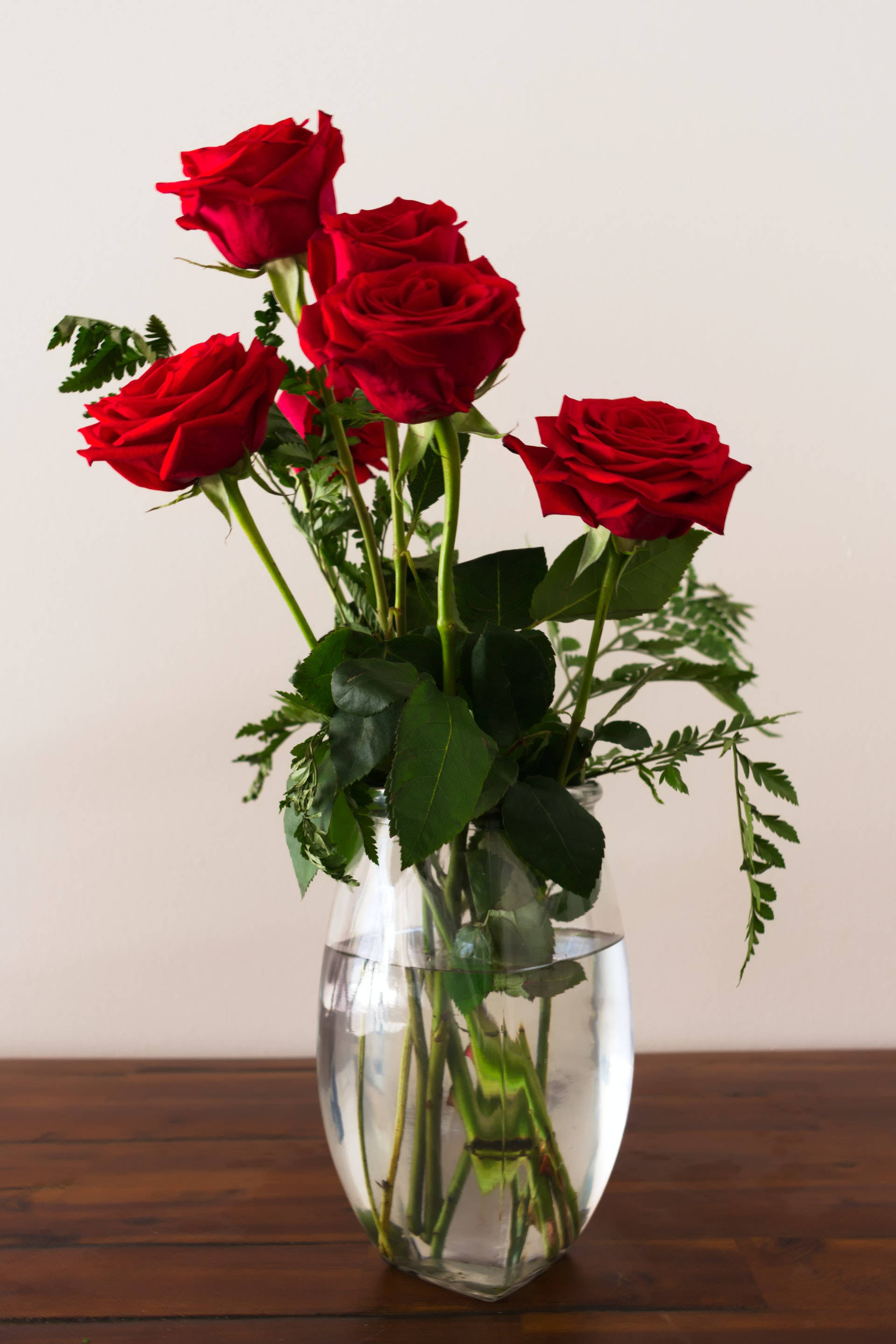 سرخ گلاب کی جمالیات وال پیپر