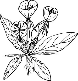 سیاہ خالی کینوس وال پیپر