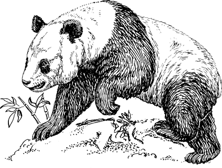 سیاہ خالی کینوس وال پیپر