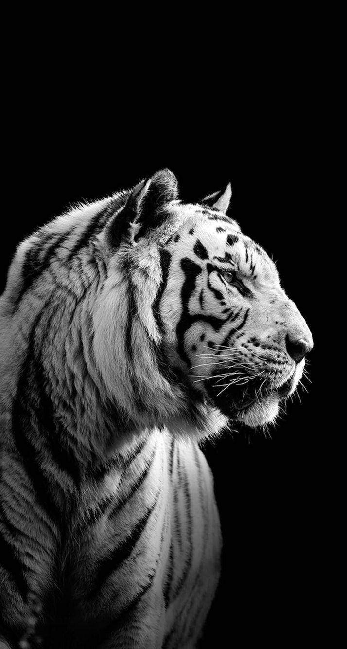 سیاہ و سفید ہری ماؤ وال پیپر