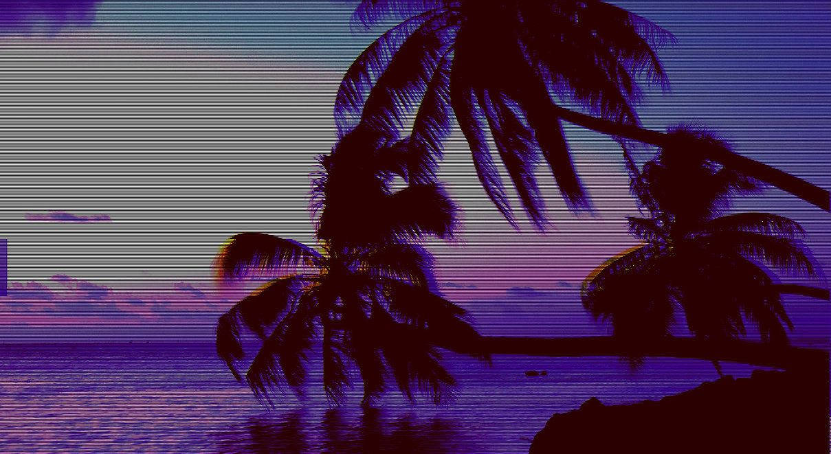 سیاہ کھجور کے درختوں کی جمالیاتی وال پیپر
