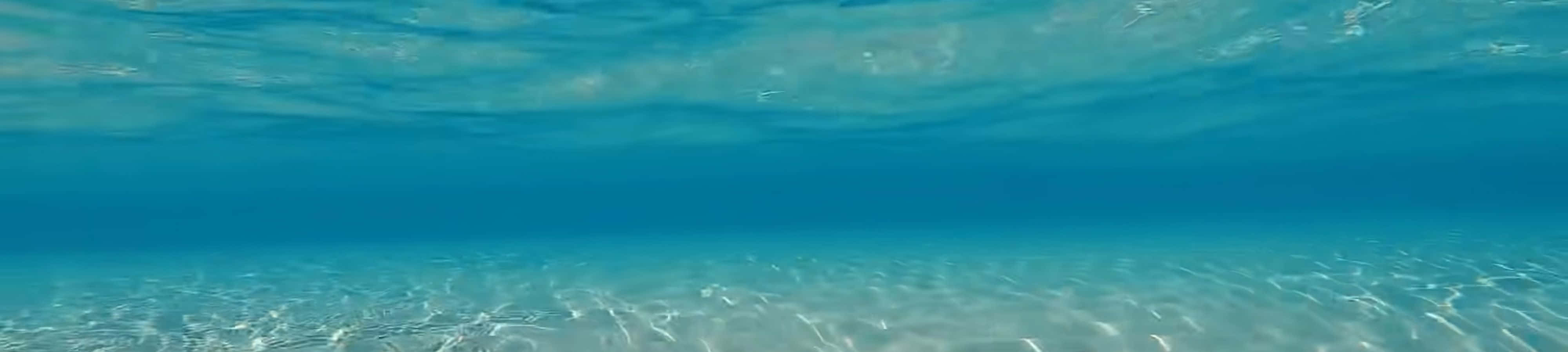 قدرت کی شاندار خوبصورتی کو دریافت کریں اور حیران ہوں وال پیپر