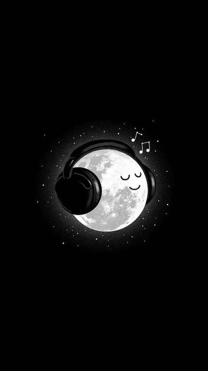 قدرتی مسکن میں خوبصورت پیارا کالا جانور وال پیپر