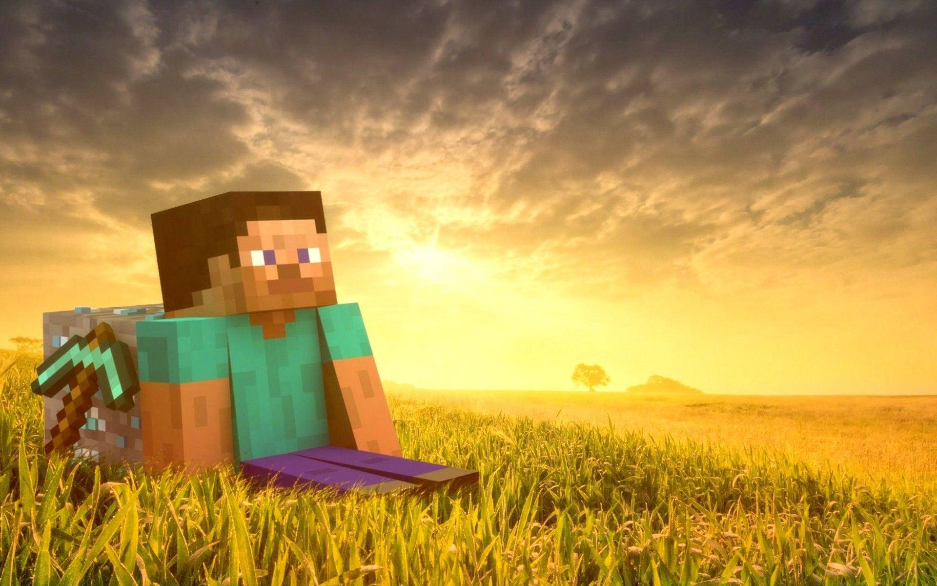 Minecraft Steve In Grass Field HD wallpaper
