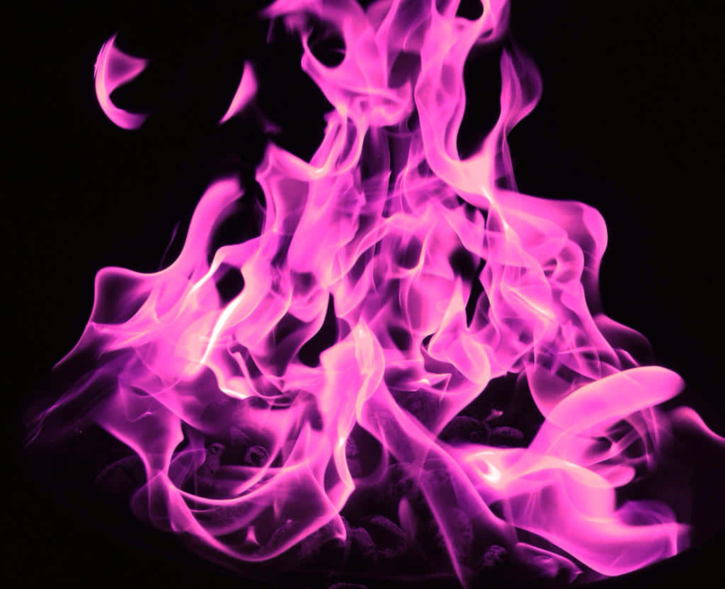 موٹی گلابی شعلے وال پیپر