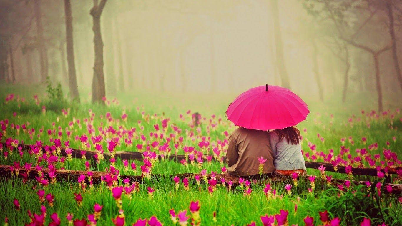 میری محبت بیٹھے ہوئے زمین پھول وال پیپر