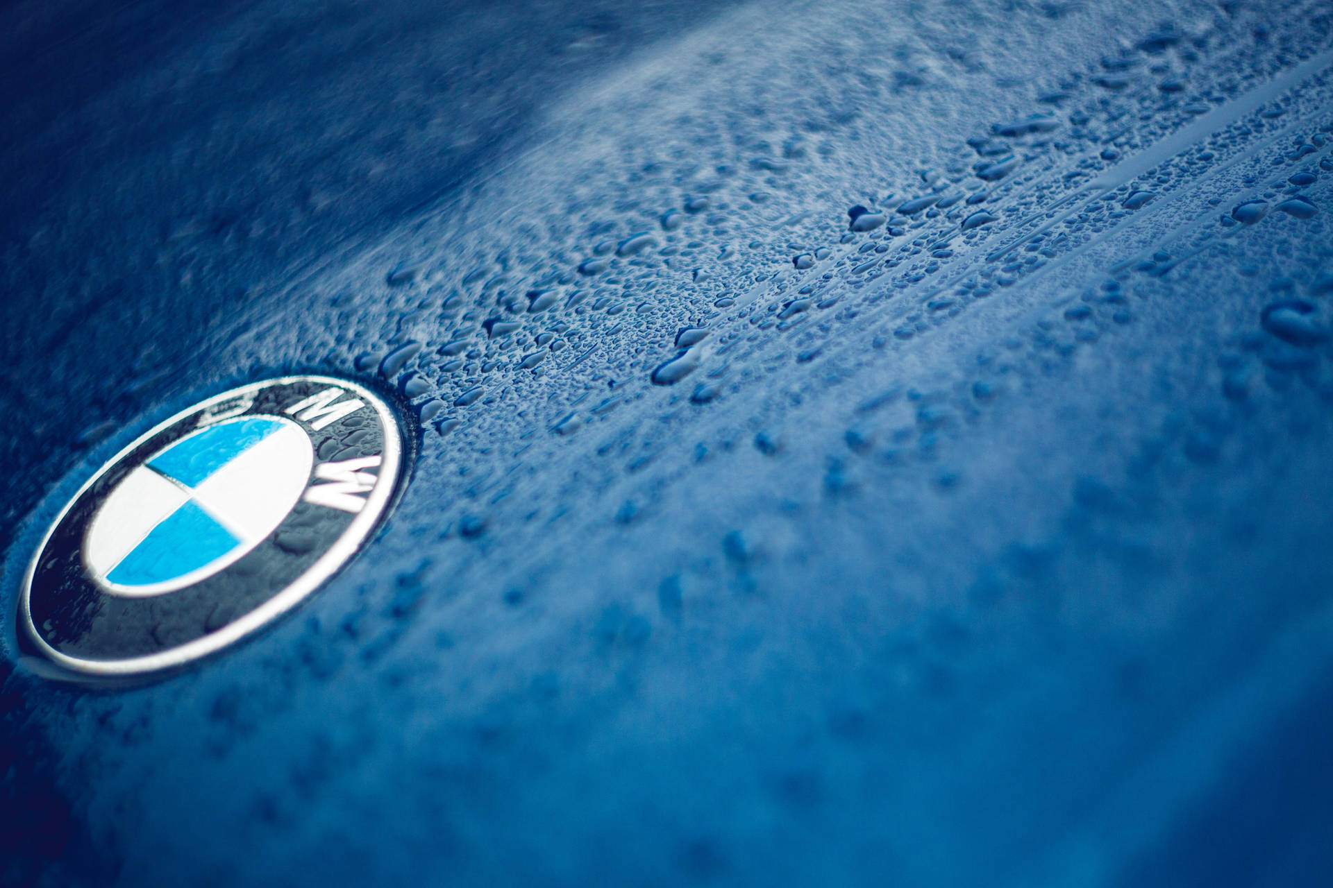 نیلی کار پر قطروں کے ساتھ BMW لوگو کا کلوز اپ وال پیپر