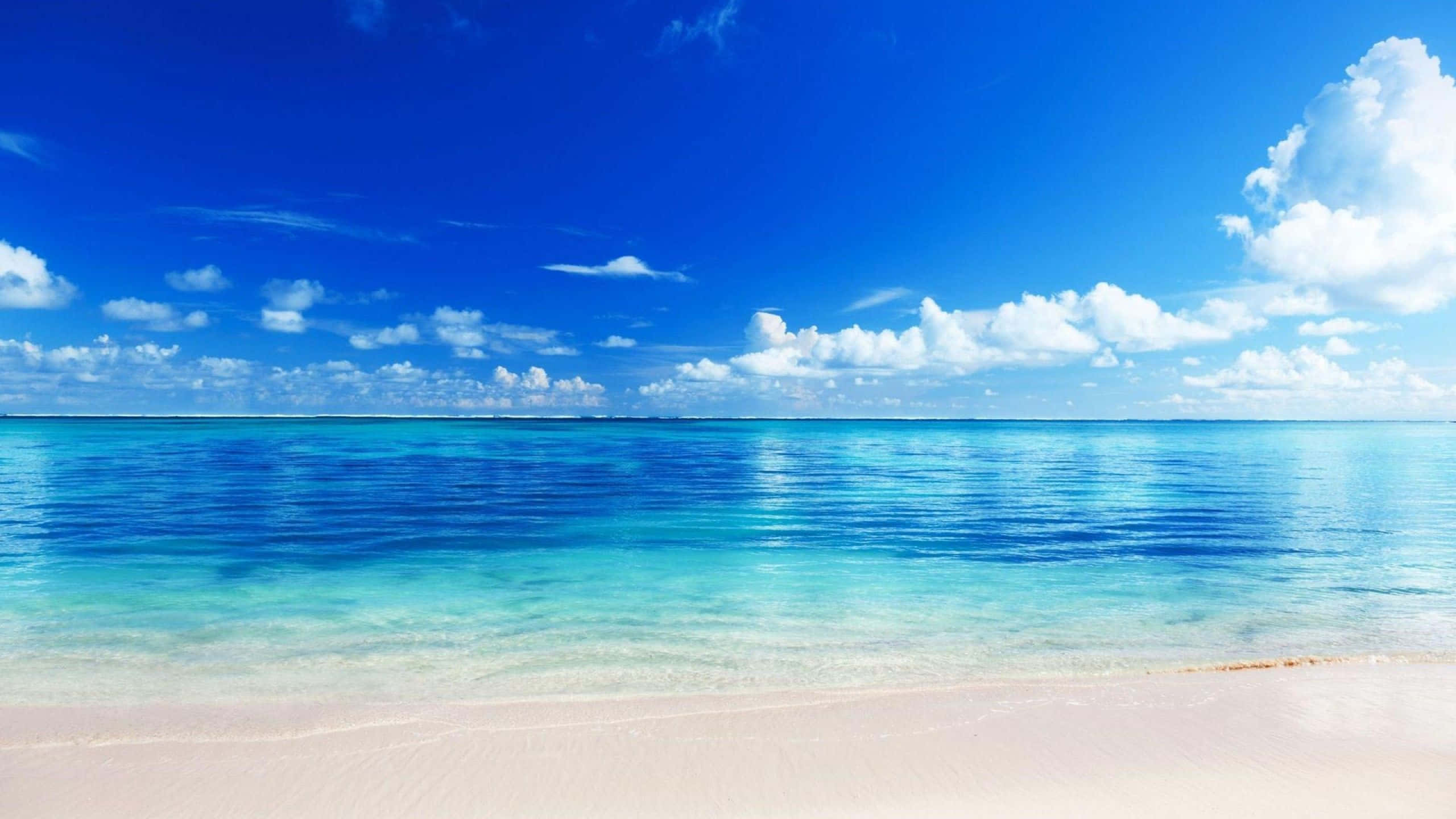 پرسکون سمندر کا پس منظر اور صاف آسمان وال پیپر